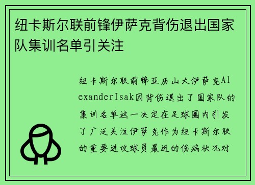 纽卡斯尔联前锋伊萨克背伤退出国家队集训名单引关注 纽卡斯尔联前锋伊萨克背伤退出国家队集训名单引关注