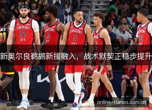 新奥尔良鹈鹕新援融入，战术默契正稳步提升